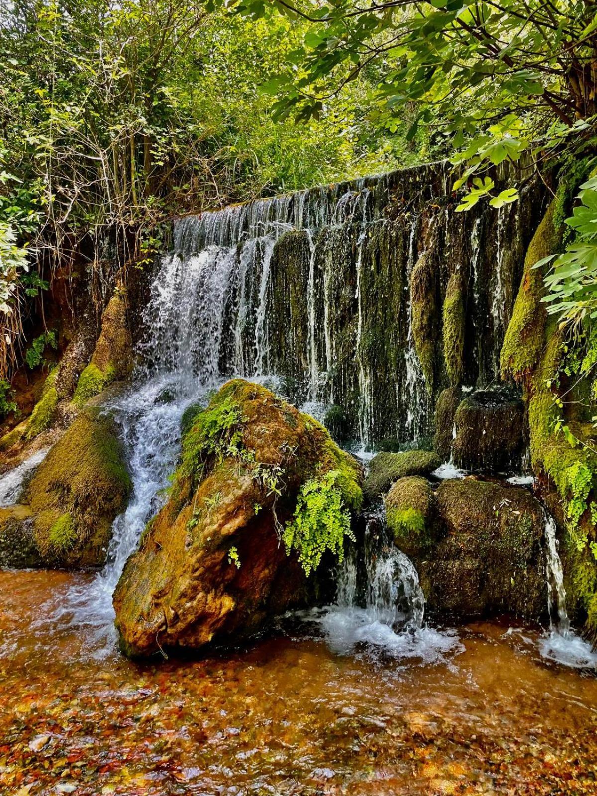 Moulin Gaillard Ξενοδοχείο Bédarieux Εξωτερικό φωτογραφία