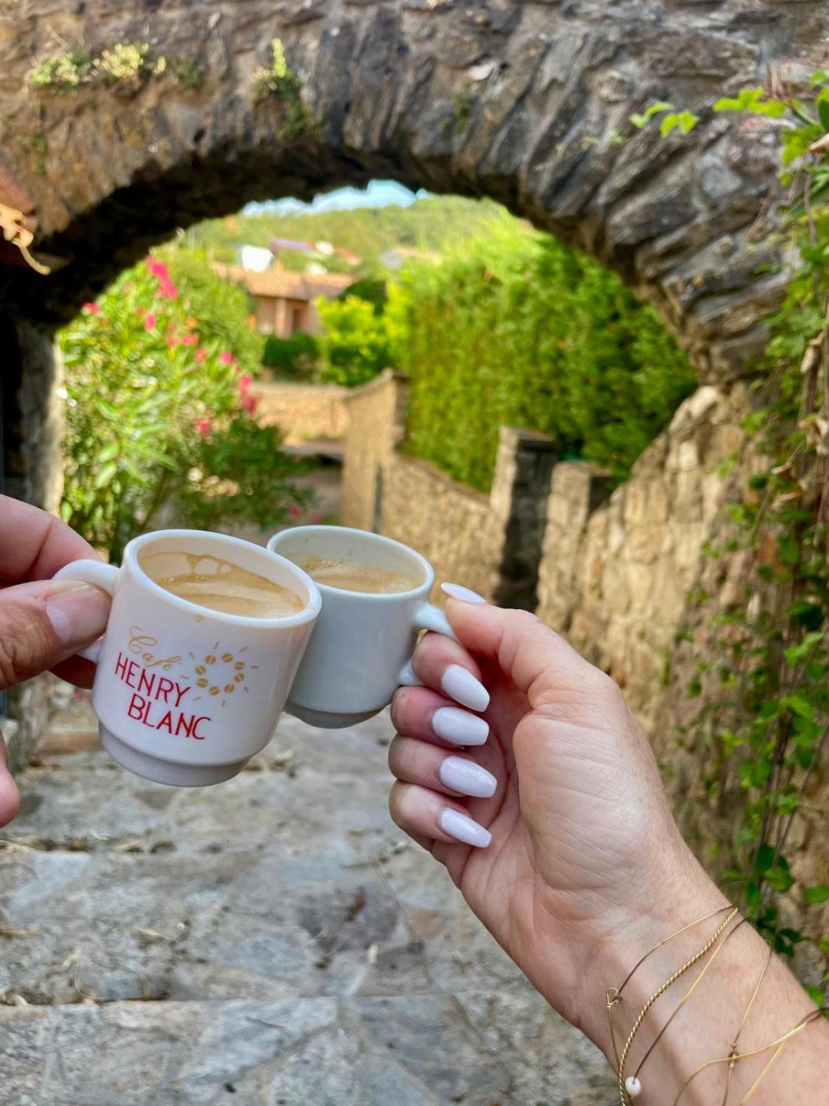 Moulin Gaillard Ξενοδοχείο Bédarieux Εξωτερικό φωτογραφία