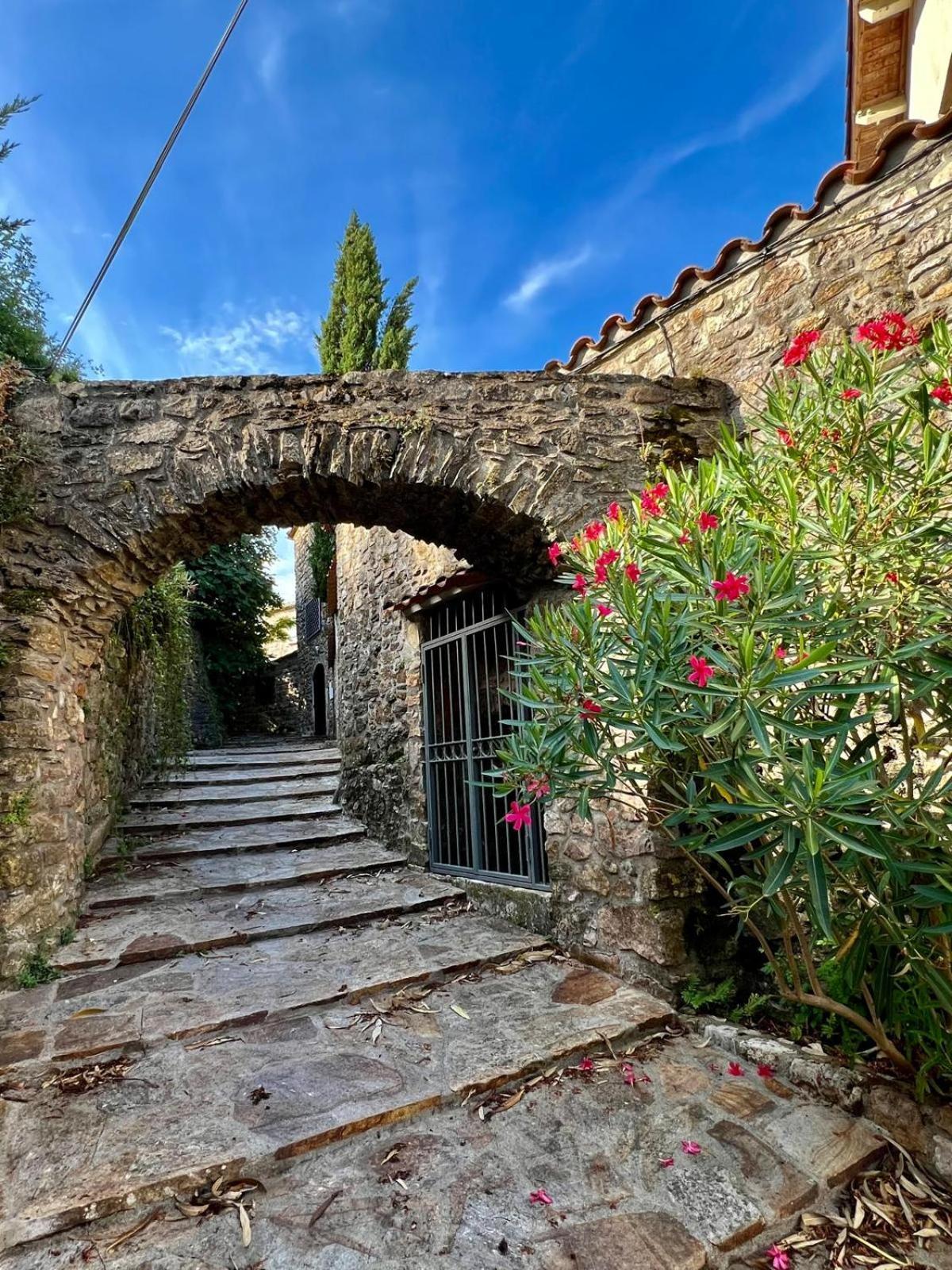 Moulin Gaillard Ξενοδοχείο Bédarieux Εξωτερικό φωτογραφία