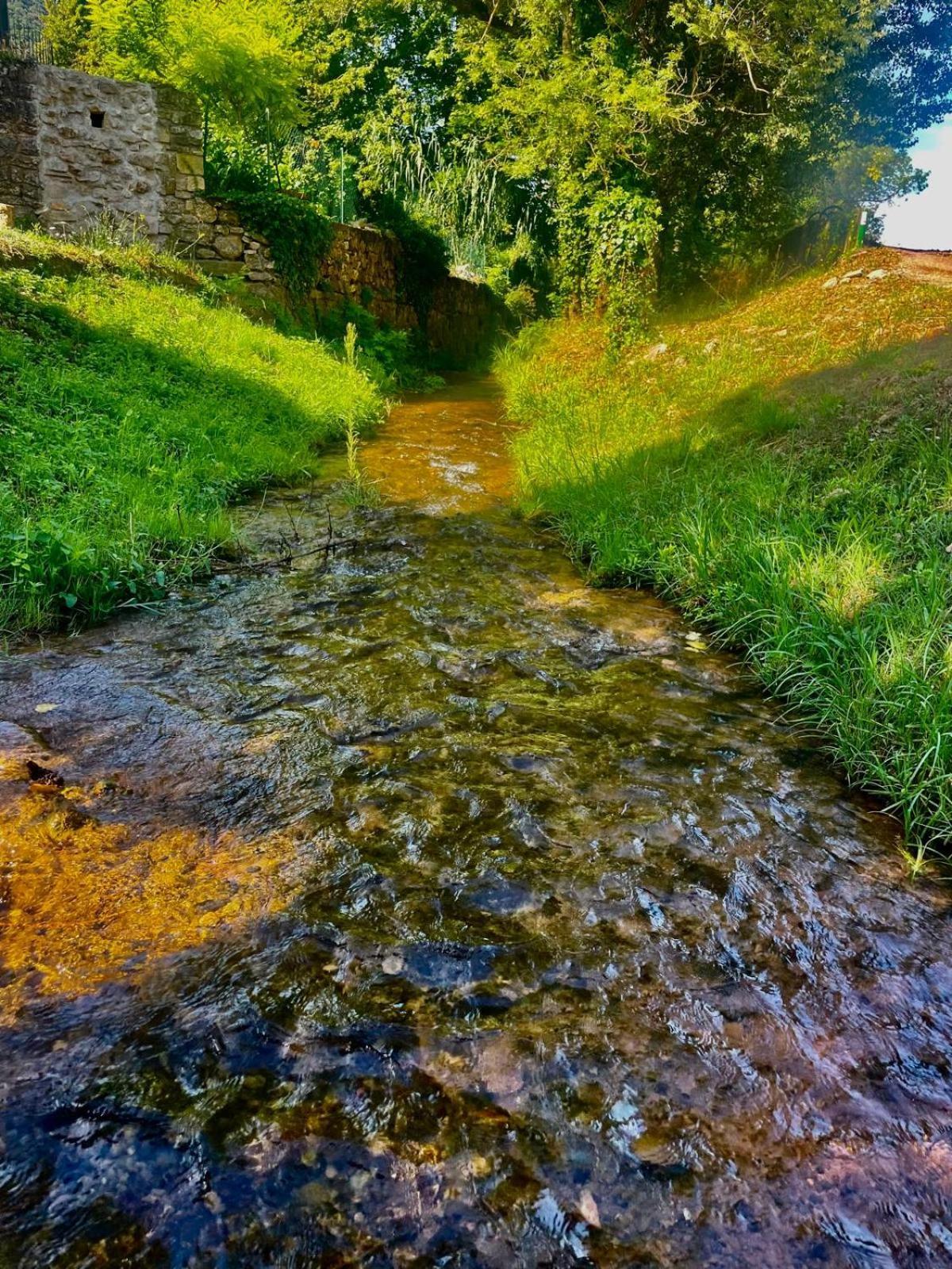Moulin Gaillard Ξενοδοχείο Bédarieux Εξωτερικό φωτογραφία